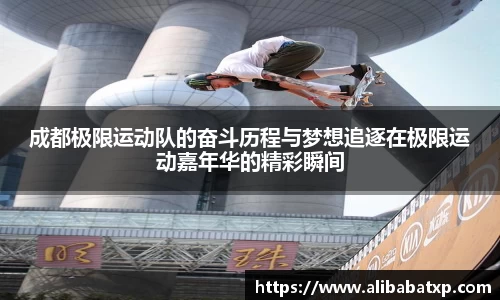 快盈viii