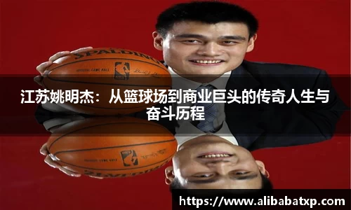 快盈viii